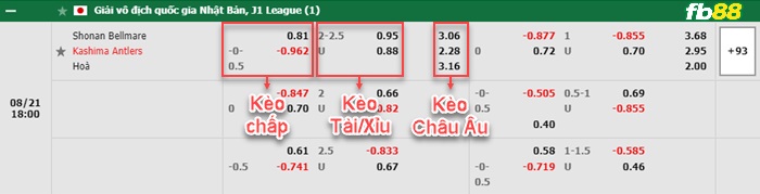 Fb88 bảng kèo trận đấu Shonan Bellmare vs Kashima Antlers