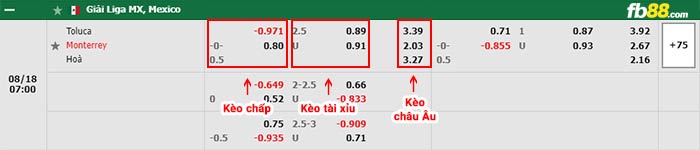 fb88-bảng kèo trận đấu Toluca vs Monterrey