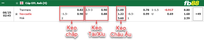 Fb88 bảng kèo trận đấu Tranmere vs Newcastle