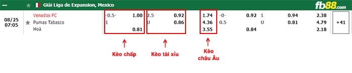 fb88-bảng kèo trận đấu Venados vs Pumas Tabasco