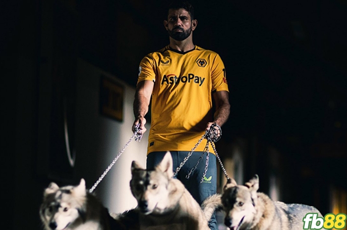 Diego Costa đến Wolves