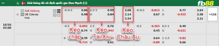 Fb88 bảng kèo trận đấu Aalborg vs Odense