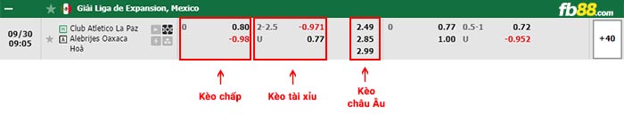 fb88-bảng kèo trận đấu Atletico Morelia vs Tepatitlan De Morelos