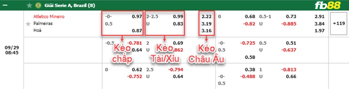 Fb88 bảng kèo trận đấu Atletico Mineiro vs Palmeiras