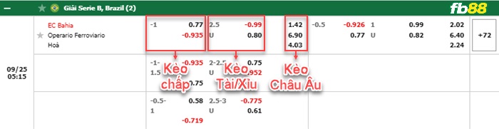 Fb88 bảng kèo trận đấu Bahia vs Operario