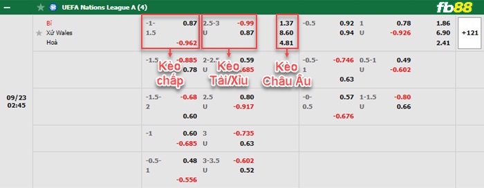 Fb88 bảng kèo trận đấu Bỉ vs Wales