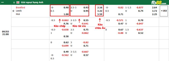 fb88-bảng kèo trận đấu Brentford vs Leeds