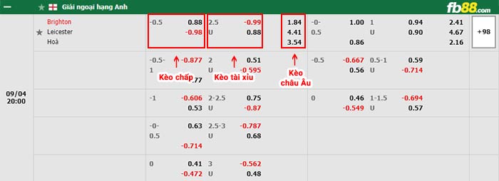 fb88-bảng kèo trận đấu Brighton vs Leicester