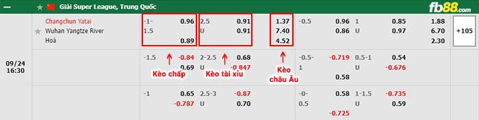 fn88-bảng kèo trận đấu Changchun YaTai vs Wuhan Yangtze