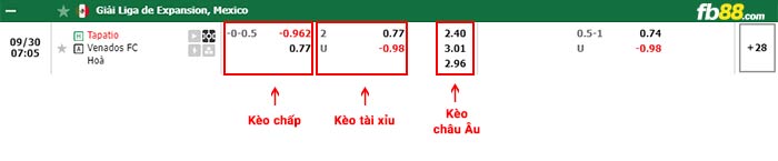 fb88-bảng kèo trận đấu Chivas Tapatio vs Venados