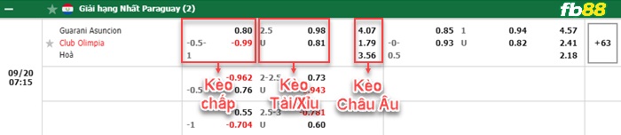 Fb88 bảng kèo trận đấu Club Guarani vs Asuncion