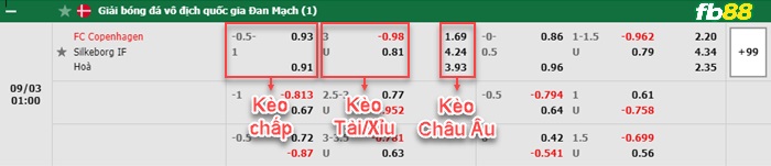 Fb88 bảng kèo trận đấu Copenhagen vs Silkeborg