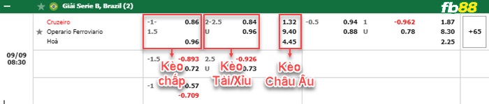 Fb88 bảng kèo trận đấu Cruzeiro vs Operario Ferroviario