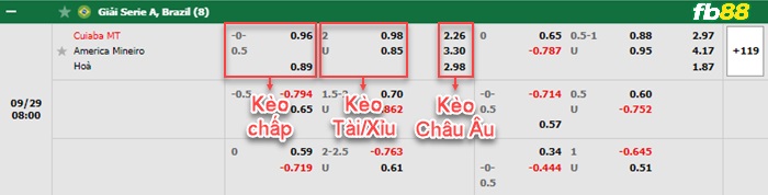 Fb88 bảng kèo trận đấu Cuiaba vs America MG