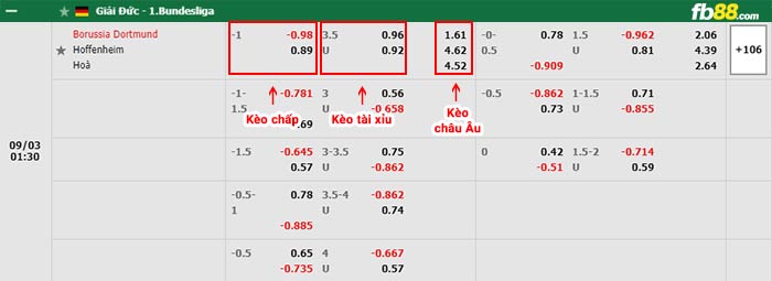fb88-bảng kèo trận đấu Dortmund vs Hoffenheim