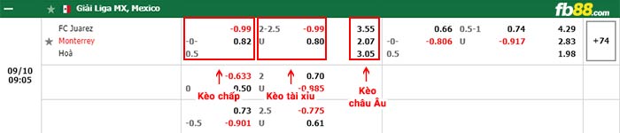 fb88-thông số trận đấu Patriotas vs Deportes Tolima