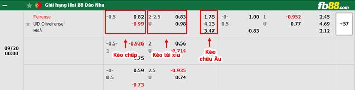 fb88-bảng kèo trận đấu Feirense vs Oliveirense