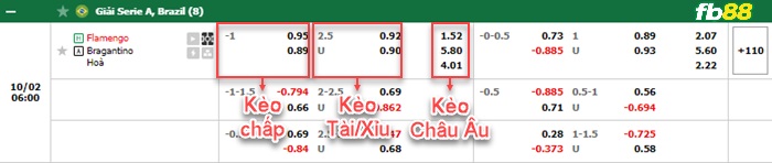 Fb88 bảng kèo trận đấu Flamengo vs Bragantino