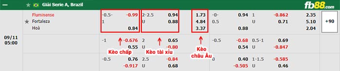 fb88-bảng kèo trận đấu Fluminense vs Fortaleza