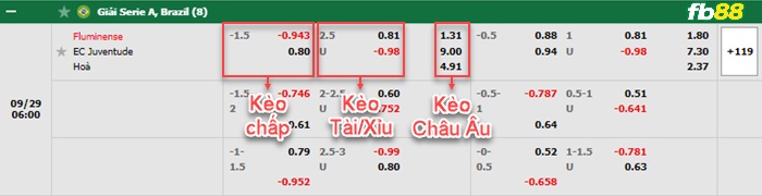 Fb88 bảng kèo trận đấu Fluminense vs Juventude