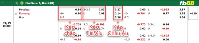Fb88 bảng kèo trận đấu Fortaleza vs Flamengo
