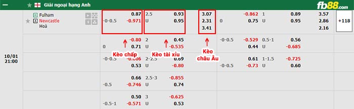 fb88-bảng kèo trận đấu Fulham vs Newcastle