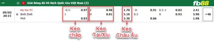 Fb88 bảng kèo trận đấu Hà Nội vs Bình Định