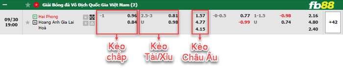 Fb88 bảng kèo trận đấu Hải Phòng vs HAGL