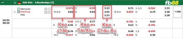 Fb88 bảng kèo trận đấu Hannover vs Hamburger