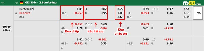 fb88-bảng kèo trận đấu Holstein Kiel vs Hamburger