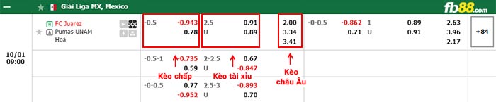 fb88-bảng kèo trận đấu Juarez vs Pumas UNAM