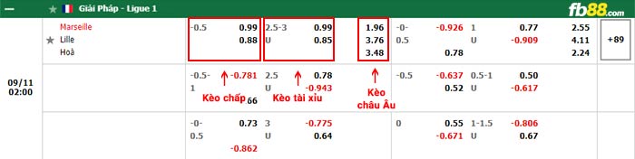 fb88-bảng kèo trận đấu Marseille vs Lille