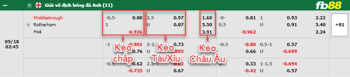 Fb88 bảng kèo trận đấu Middlesbrough vs Rotherham