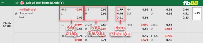 Fb88 bảng kèo trận đấu Middlesbrough vs Sunderland