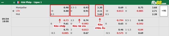 fb88-bảng kèo trận đấu Montpellier vs Lille