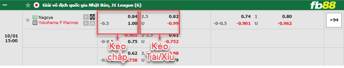 Fb88 bảng kèo trận đấu Nagoya Grampus vs Yokohama F Marinos