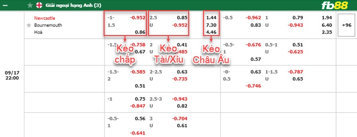 Fb88 bảng kèo trận đấu Newcastle vs Bournemouth