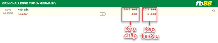 Fb88 bảng kèo trận đấu Nhật Bản vs Ecuador