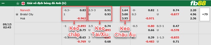 Fb88 bảng kèo trận đấu Norwich vs Bristol City