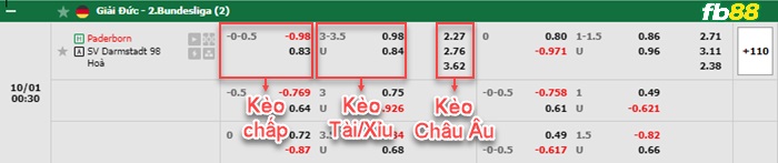 Fb88 bảng kèo trận đấu Paderborn vs Darmstadt