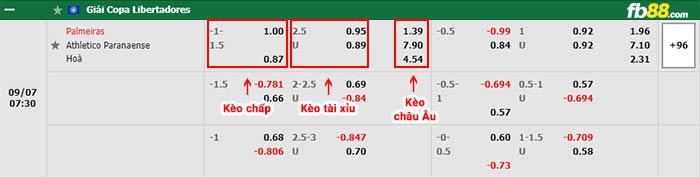 fb88-bảng kèo trận đấu Palmeiras vs Atletico Paranaense