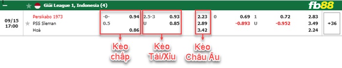 Fb88 bảng kèo trận đấu Persikabo vs PSS Sleman