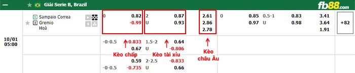 fb88-bảng kèo trận đấu Sampaio Correa vs Gremio