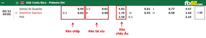 fb88-bảng kèo trận đấu Santos Guapiles vs Deportivo Saprissa