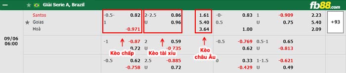 fb88-bảng kèo trận đấu Santos vs Goias