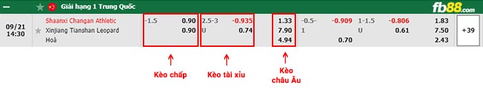 fb88-bảng kèo trận đấu Shaanxi Chang'an vs Xinjiang Tianshan