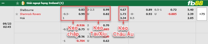 Fb88 bảng kèo trận đấu Shelbourne vs Shamrock Rovers