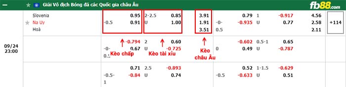 fn88-bảng kèo trận đấu Slovenia vs Na Uy