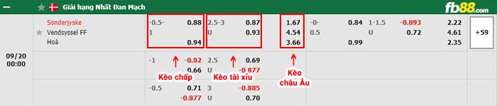 fb88-bảng kèo trận đấu Sonderjyske vs Vendsyssel