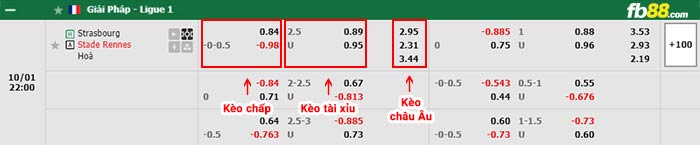 fb88-bảng kèo trận đấu Strasbourg vs Rennes